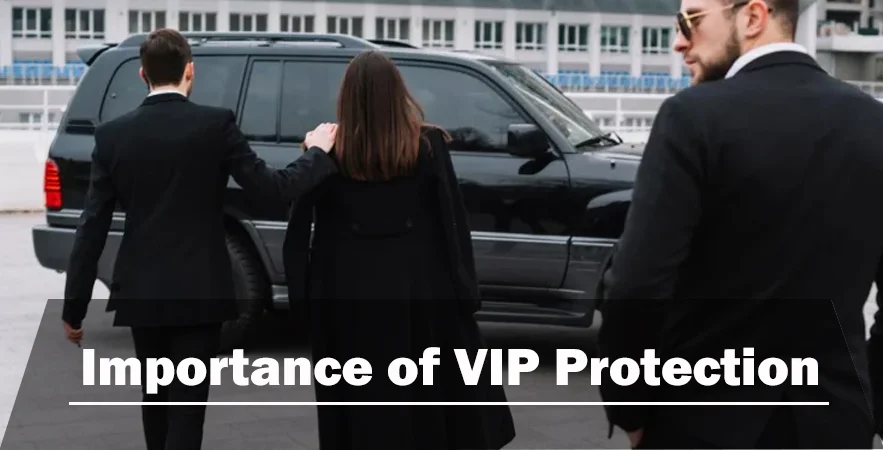 VIP Protection Services