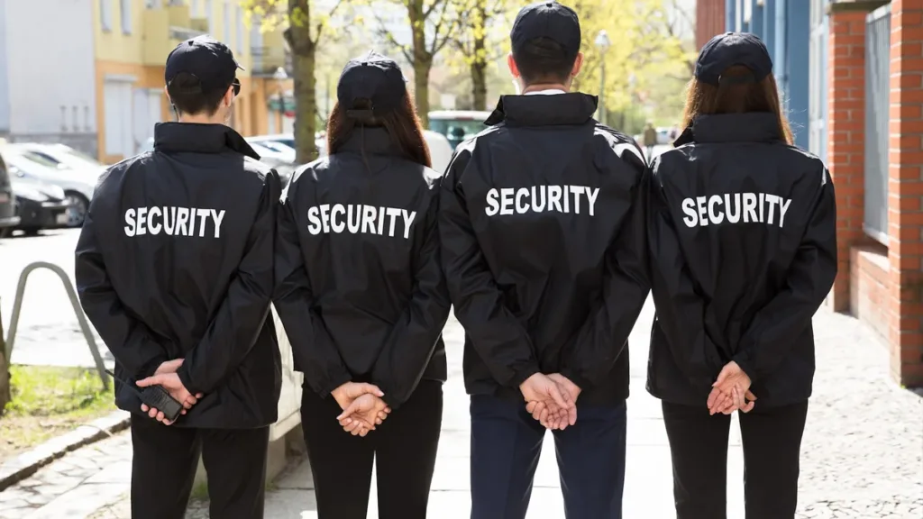 Professional Security Consultant